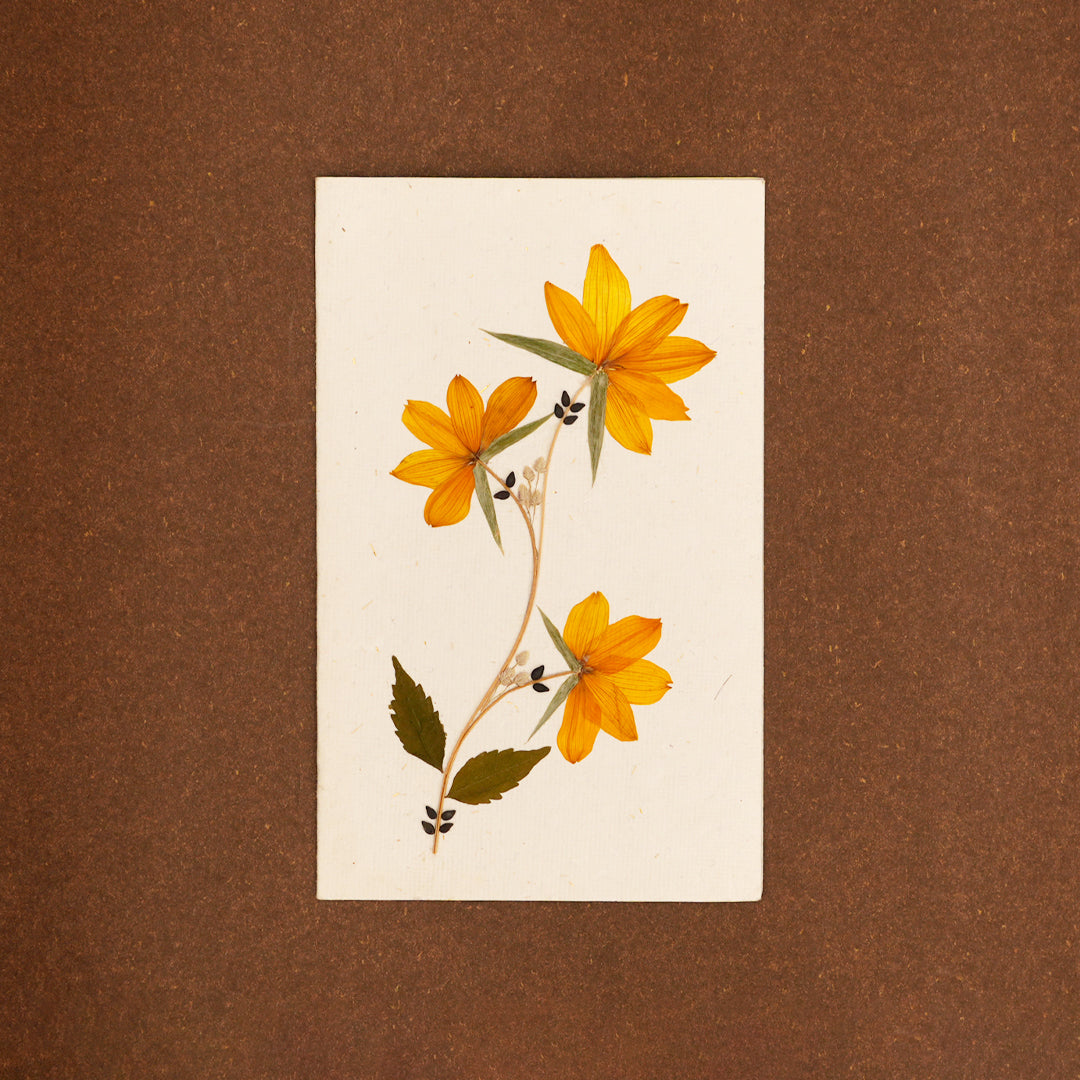 Amaltas Card