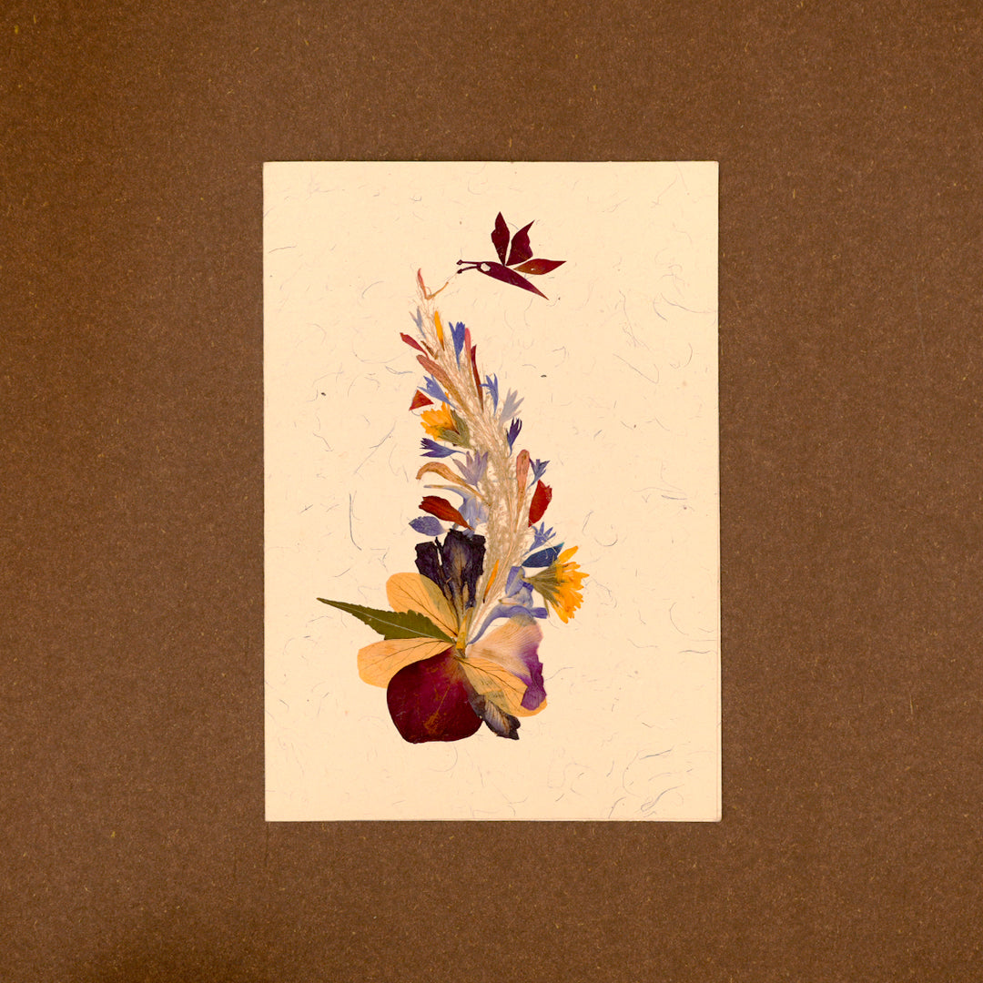 Butterfly Theme Card with Envelope