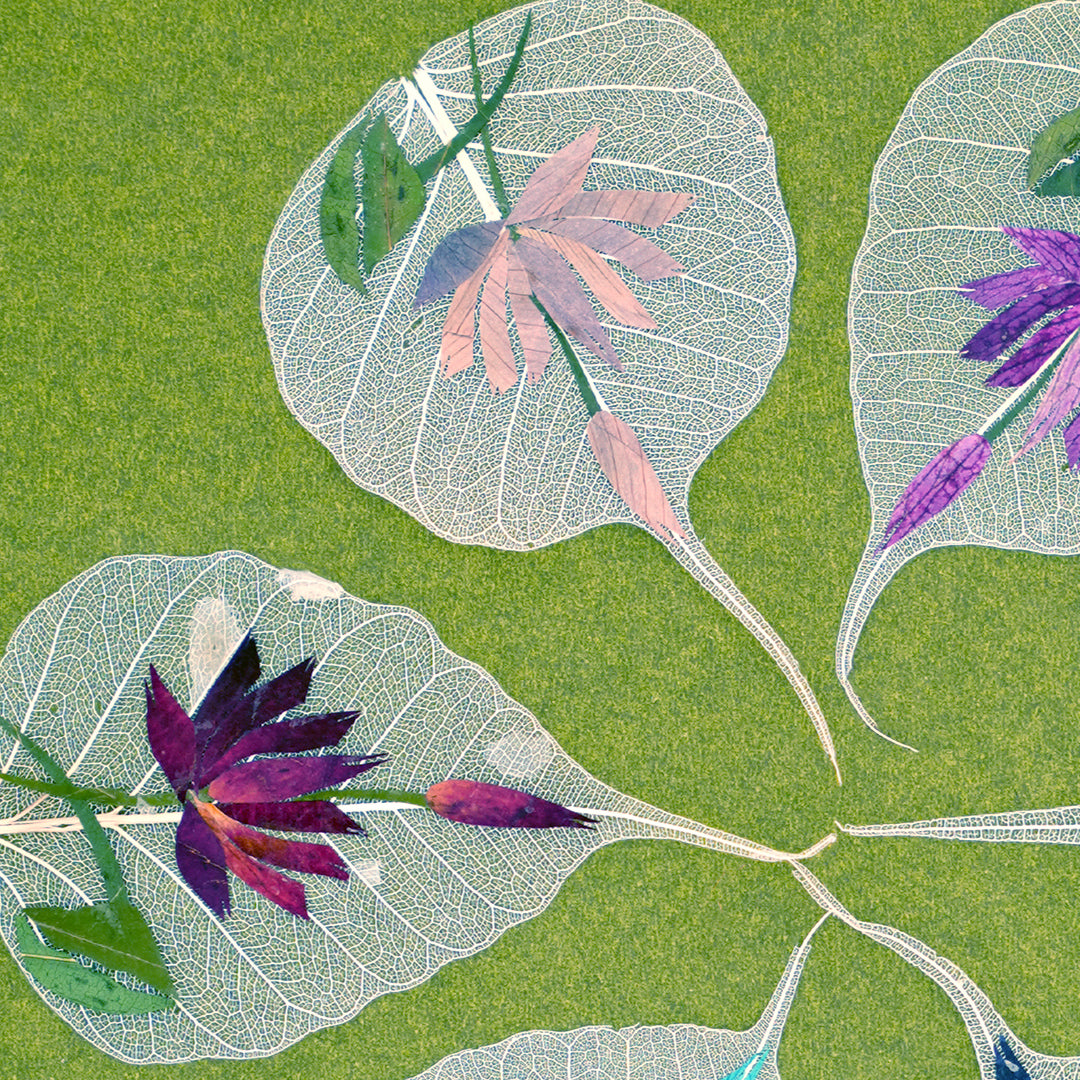 Sacred Buddha Leaf  – Lotus Series (Set of 6)