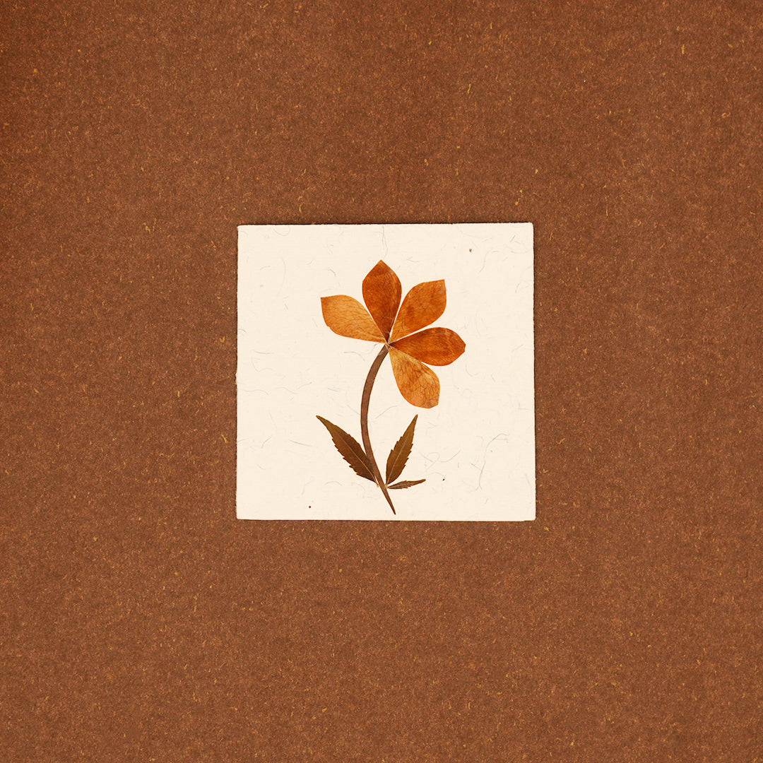 Square Tag with Rose Petals with Envelope - Set of 2