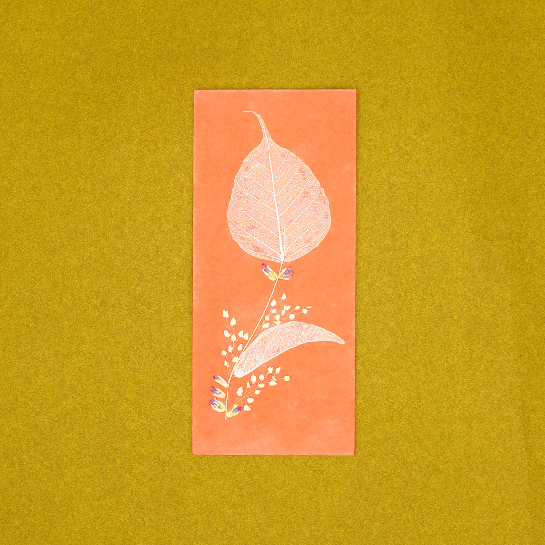 Folium Currency Envelopes - Set of 3