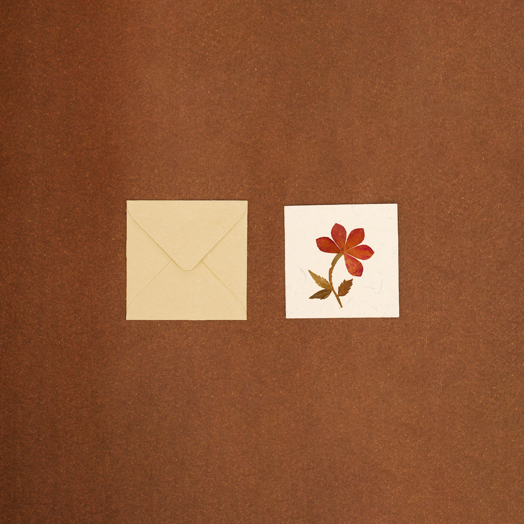 Square Tag with Rose Petals with Envelope - Set of 2