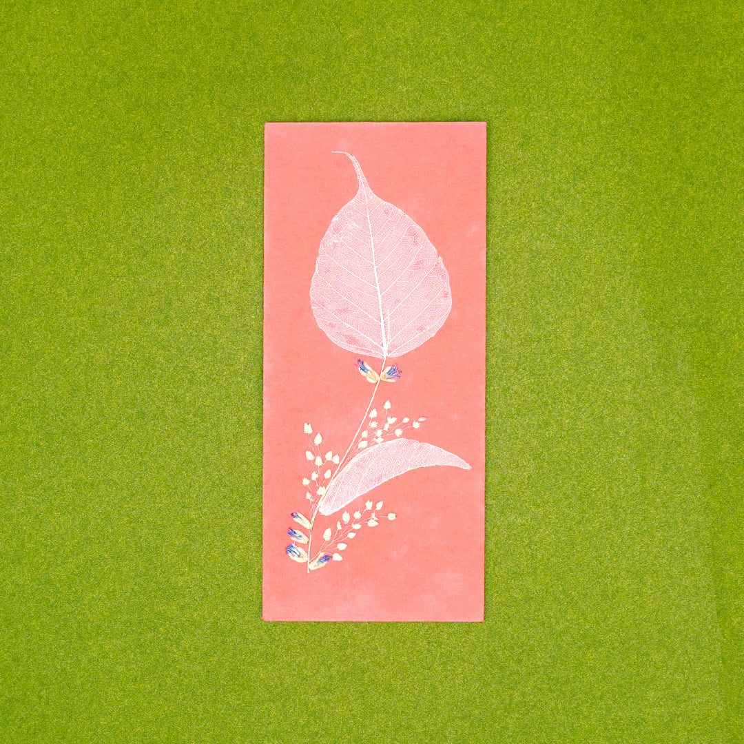 Folium Currency Envelopes - Set of 3