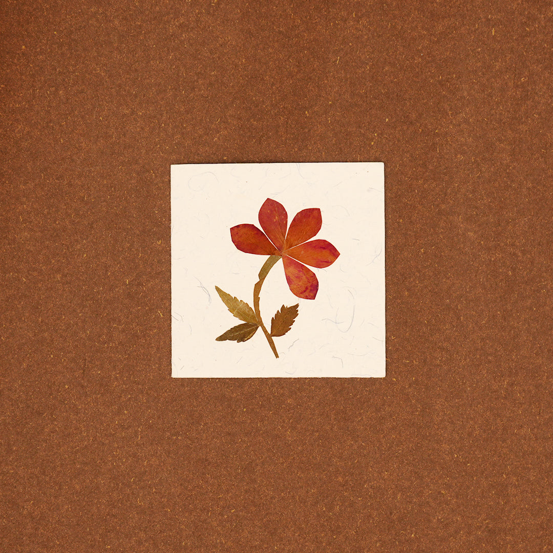 Square Tag with Rose Petals with Envelope - Set of 2