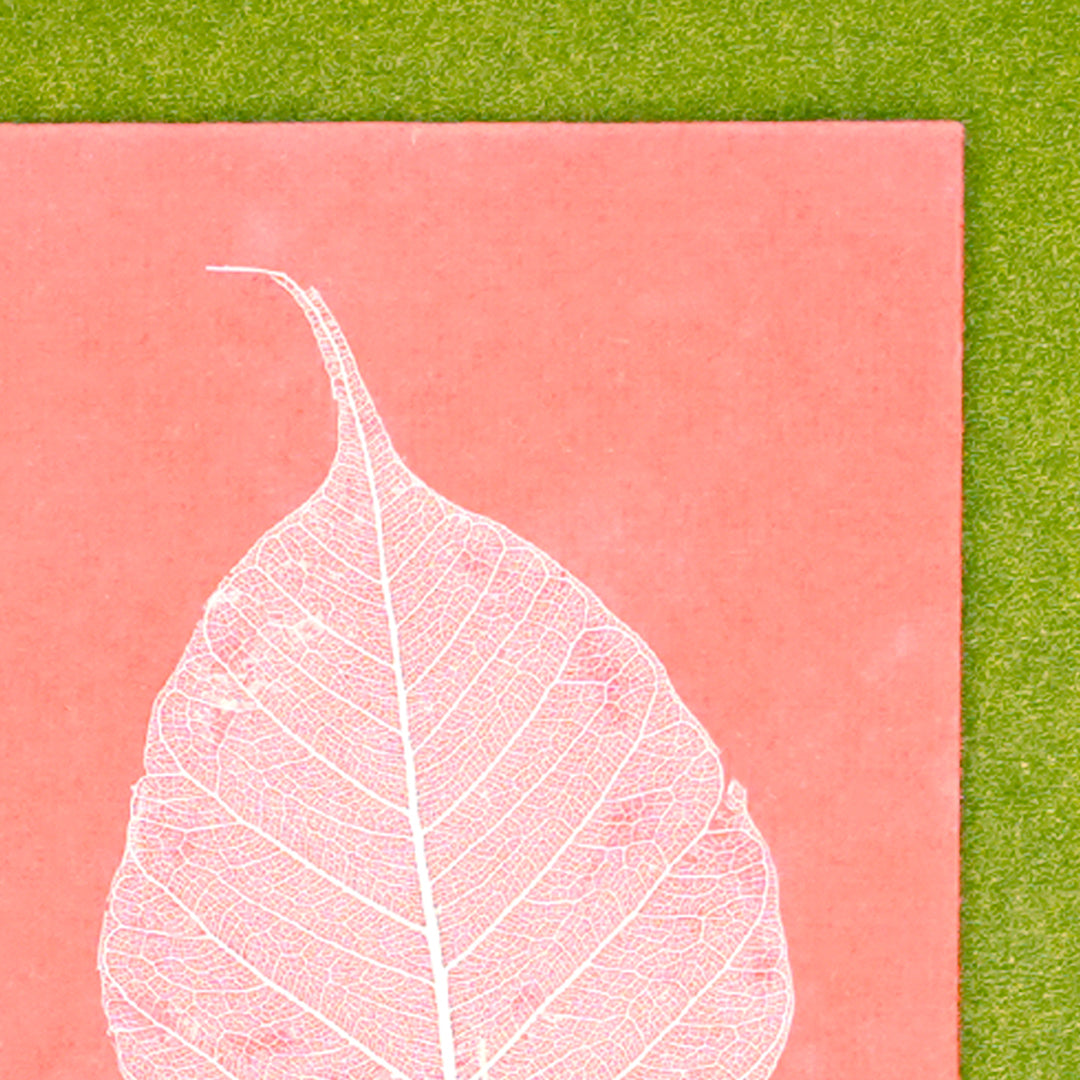 Folium Currency Envelopes - Set of 3