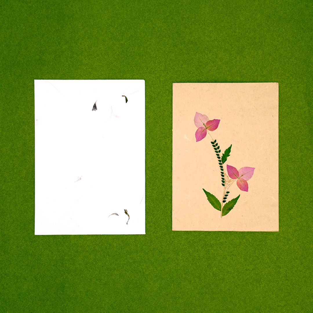 Bougainvillea Card