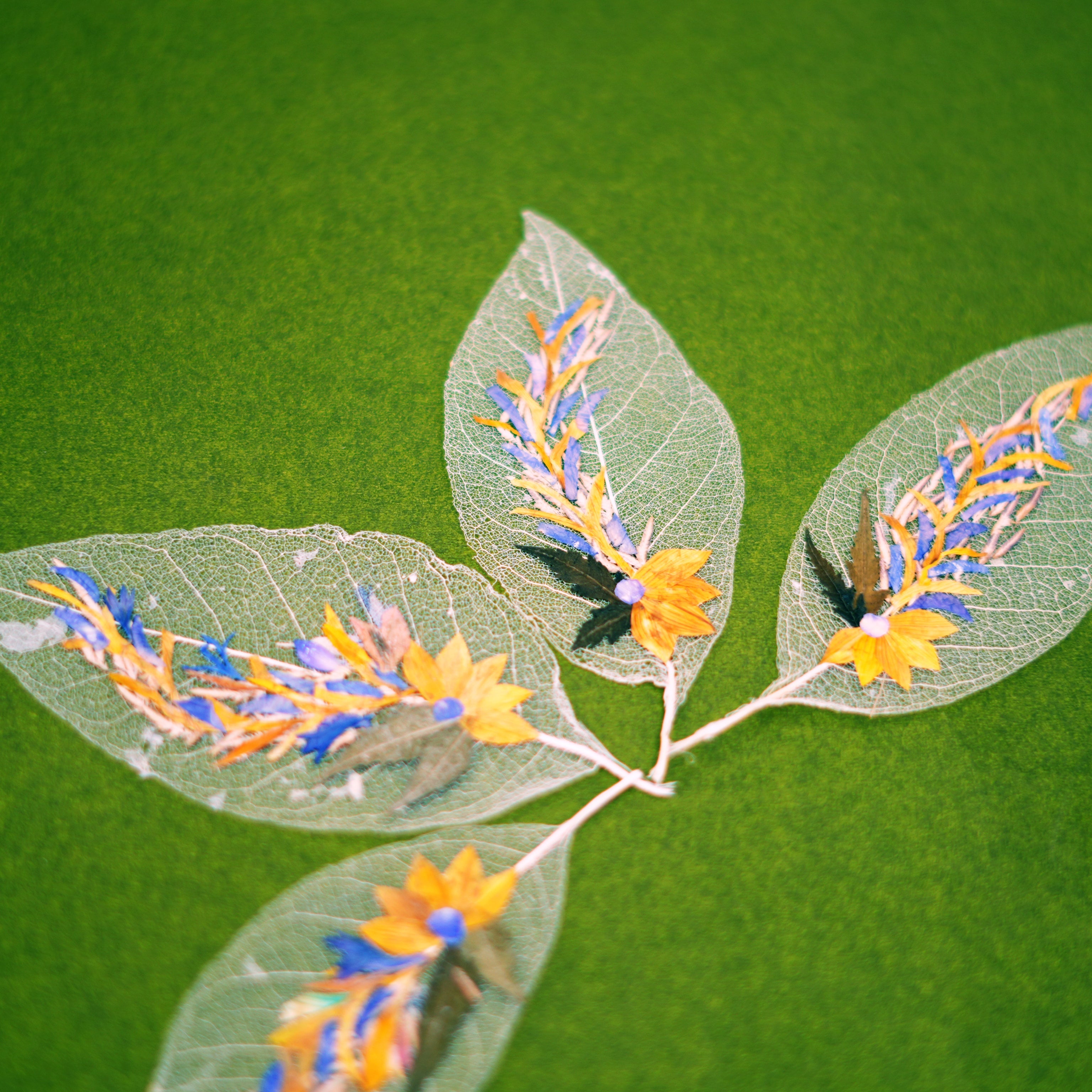 "Long leaf" Folium - Set of 2