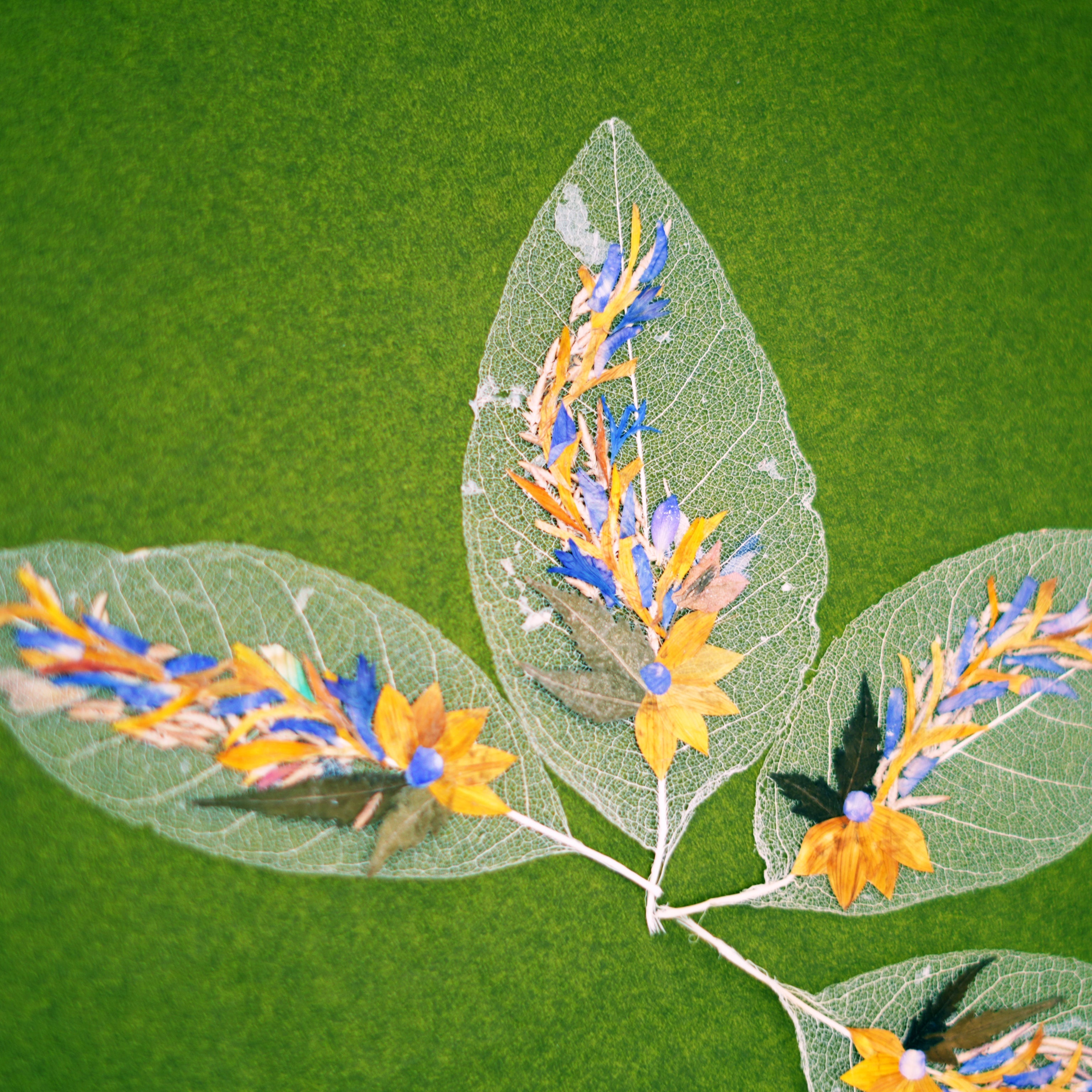 "Long leaf" Folium - Set of 2