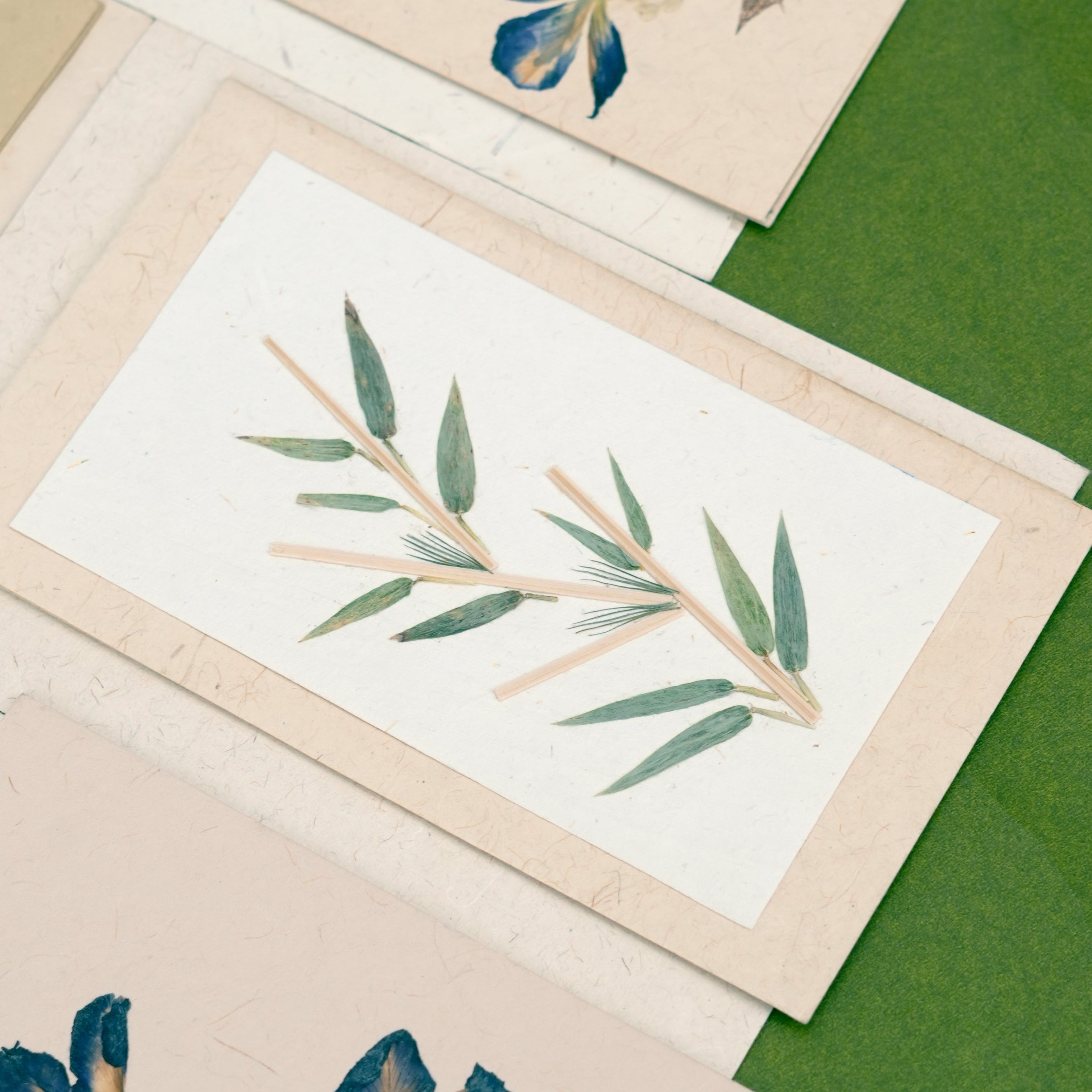 Bamboo Botanical Card